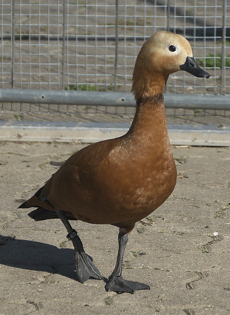 一次亮眼秀