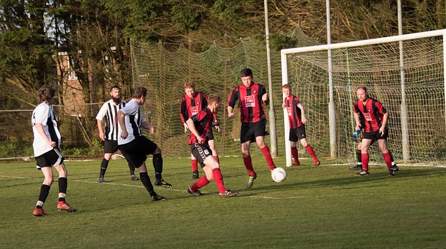 都是企业可 都是企业可