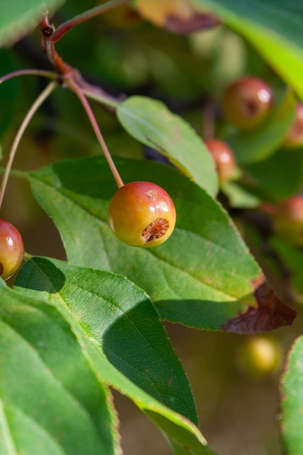 心态的稳定 心态的稳定