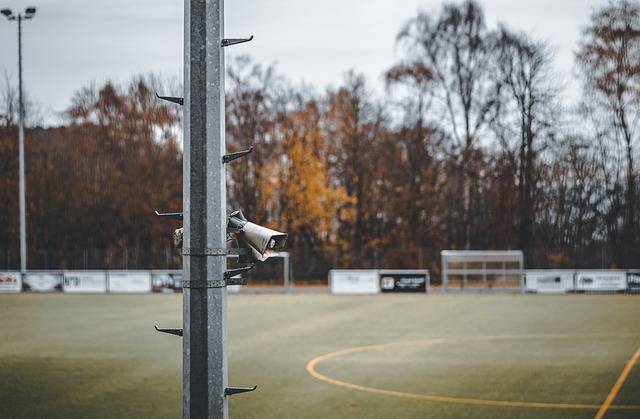 成长为如今 成长为如今