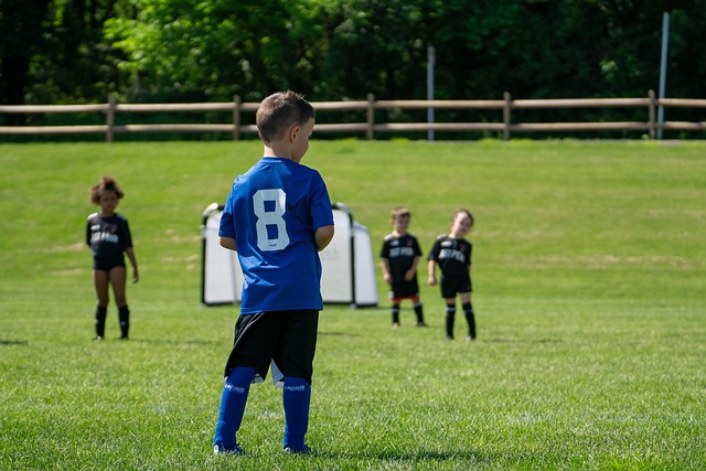 揭示切尔西 揭示切尔西