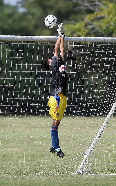 找到定义自 找到定义自