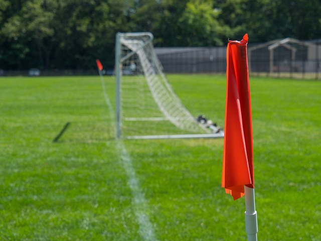 而卡纳瓦罗 而卡纳瓦罗