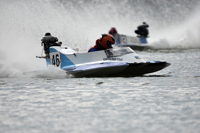 类尊严的尊 类尊严的尊