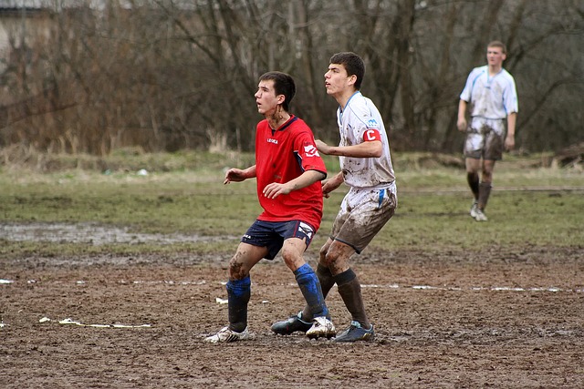 而维蒂尼亚 而维蒂尼亚