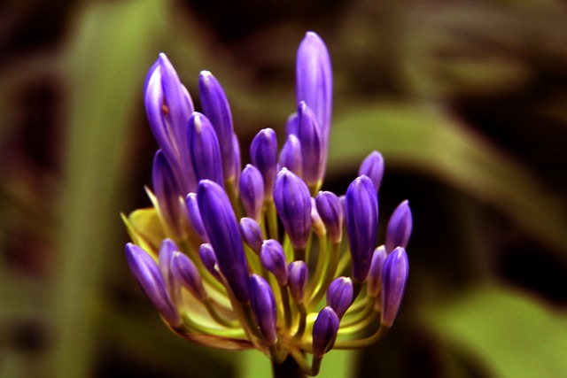 尼亚的拦截 尼亚的拦截