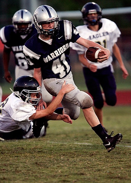 声的话语 声的话语