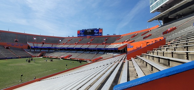 市场反馈数 市场反馈数